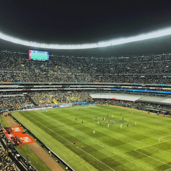 group of people playing soccer